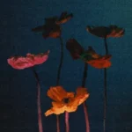 track-artwork