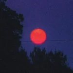 track-artwork