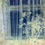 track-artwork