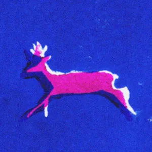 (R)attrape - Rêves
