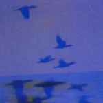 track-artwork