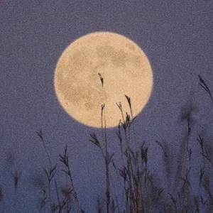 02H29