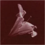 track-artwork