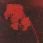 track-artwork