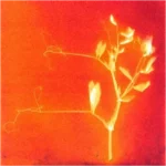 track-artwork