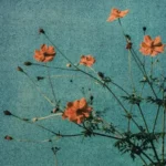 track-artwork