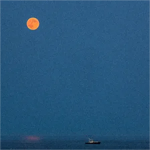 Horizon