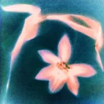 track-artwork