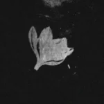 track-artwork