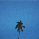 track-artwork