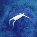 track-artwork