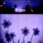 track-artwork