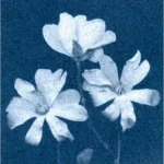 track-artwork