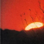 track-artwork
