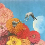 track-artwork