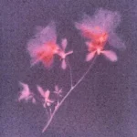 track-artwork