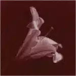 track-artwork