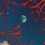 track-artwork