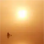 track-artwork