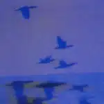 track-artwork