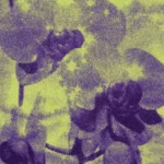 track-artwork