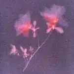 track-artwork